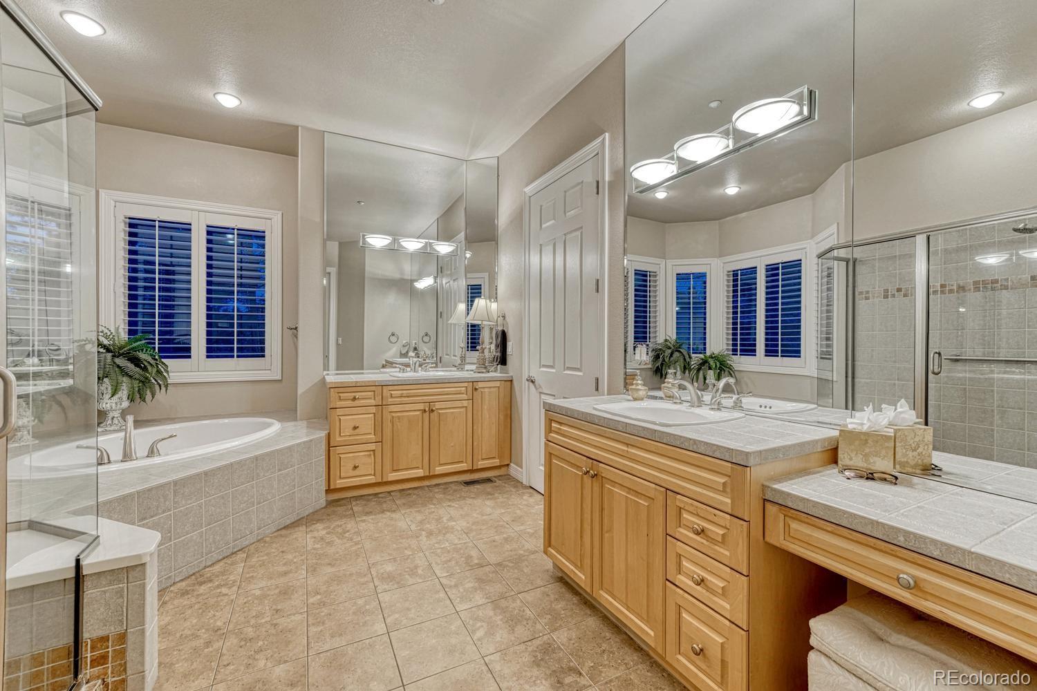 4537 Silver Dale Court Castle Rock CO 80108