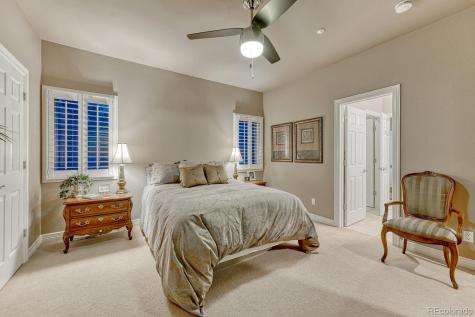 4537 Silver Dale Court Castle Rock CO 80108