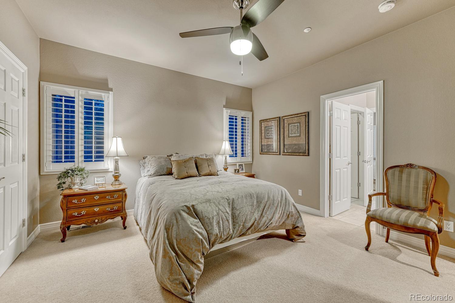 4537 Silver Dale Court Castle Rock CO 80108