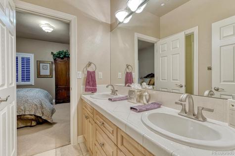 4537 Silver Dale Court Castle Rock CO 80108