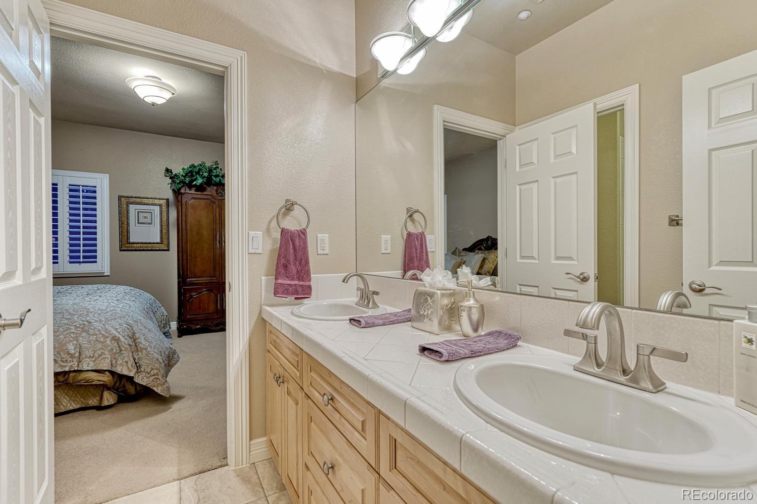 4537 Silver Dale Court Castle Rock CO 80108