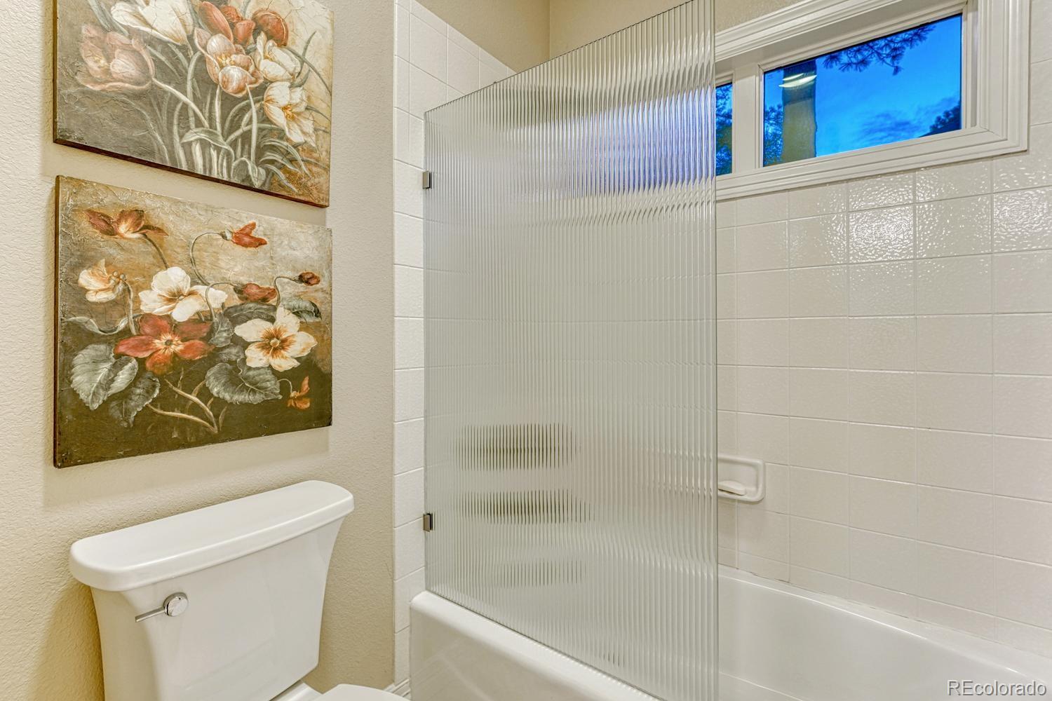 4537 Silver Dale Court Castle Rock CO 80108