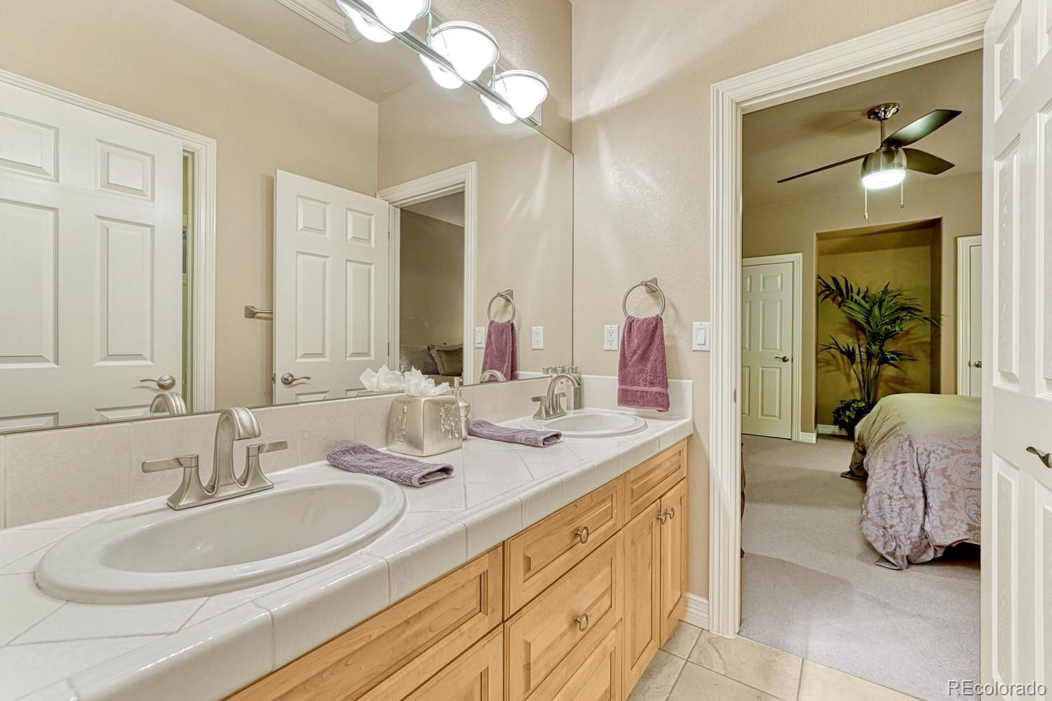 4537 Silver Dale Court Castle Rock CO 80108