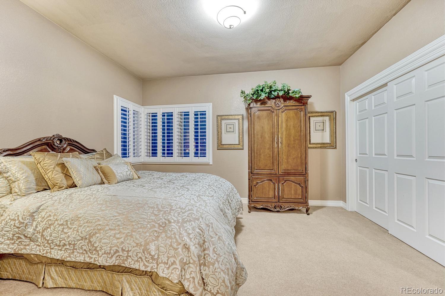 4537 Silver Dale Court Castle Rock CO 80108