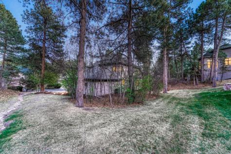 4537 Silver Dale Court Castle Rock CO 80108