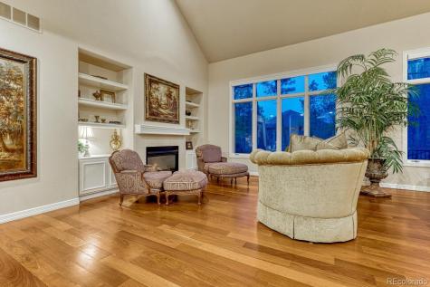 4537 Silver Dale Court Castle Rock CO 80108