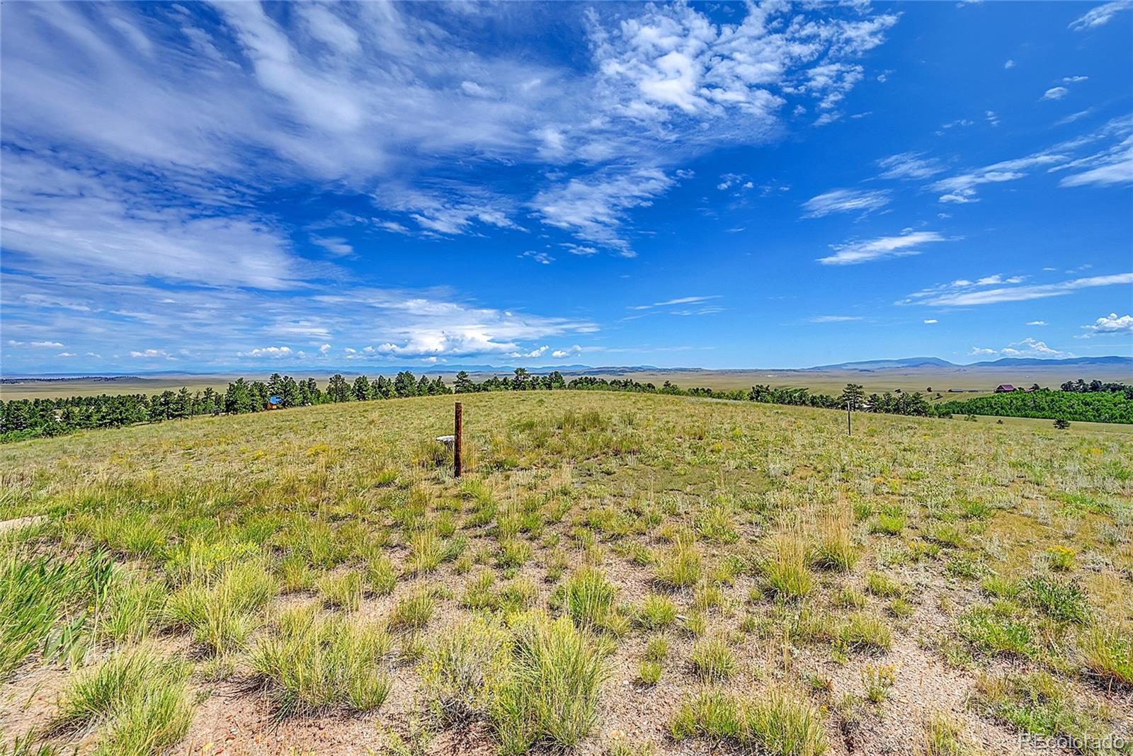 10317 Ranch Road Hartsel CO 80449