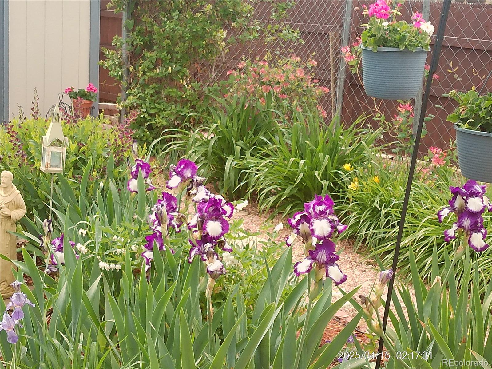 2125 Mount Werner Court Colorado Springs CO 80905