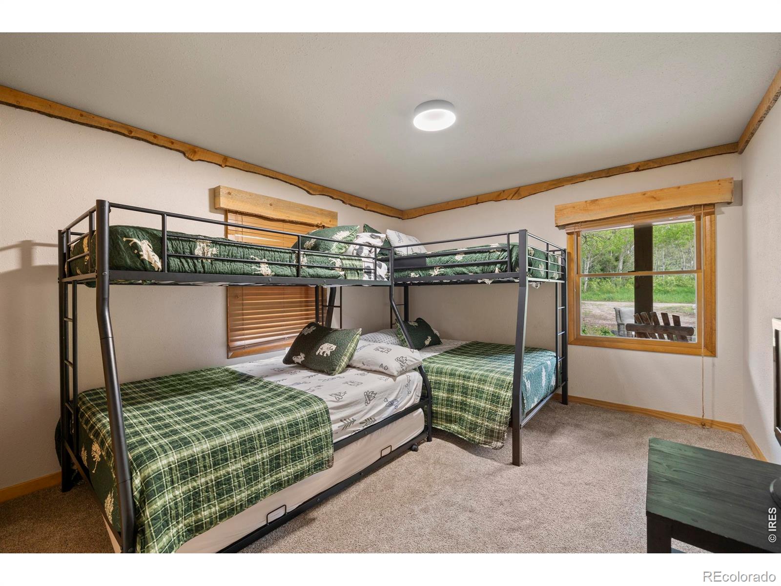 428 Rustic Road Bellvue CO 80512