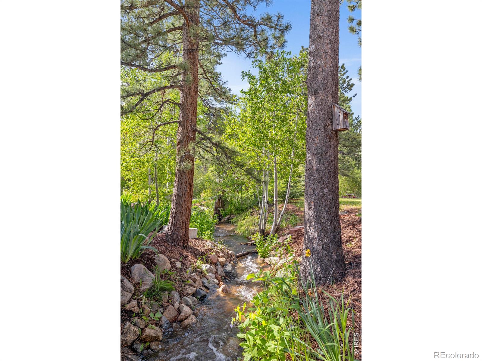 428 Rustic Road Bellvue CO 80512