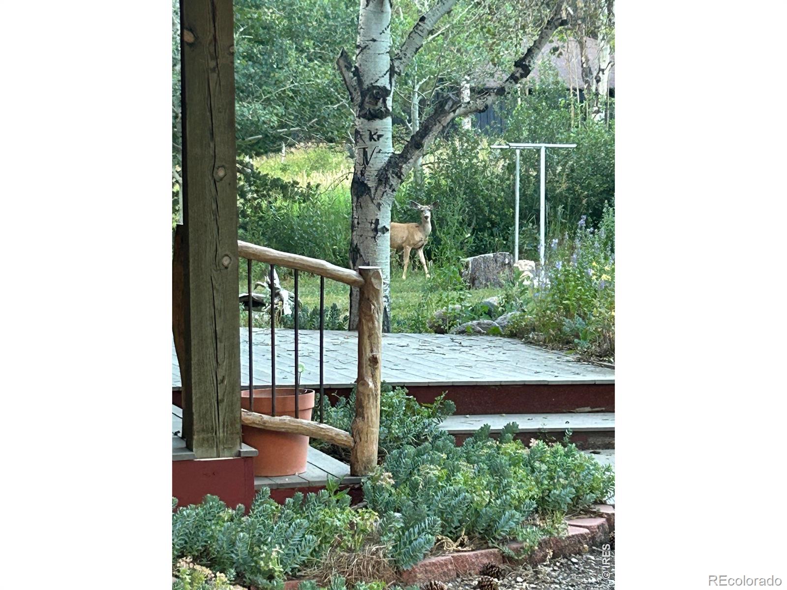 428 Rustic Road Bellvue CO 80512