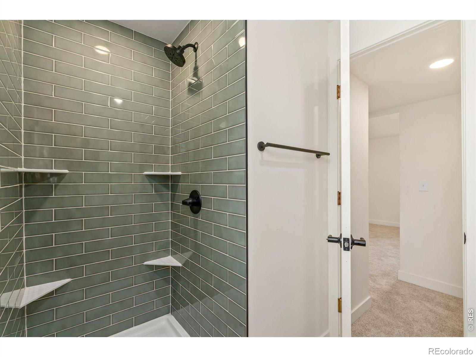743 Scotch Elm Drive Loveland CO 80538