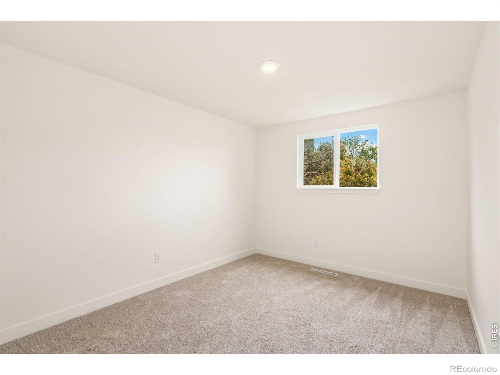 743 Scotch Elm Drive Loveland CO 80538