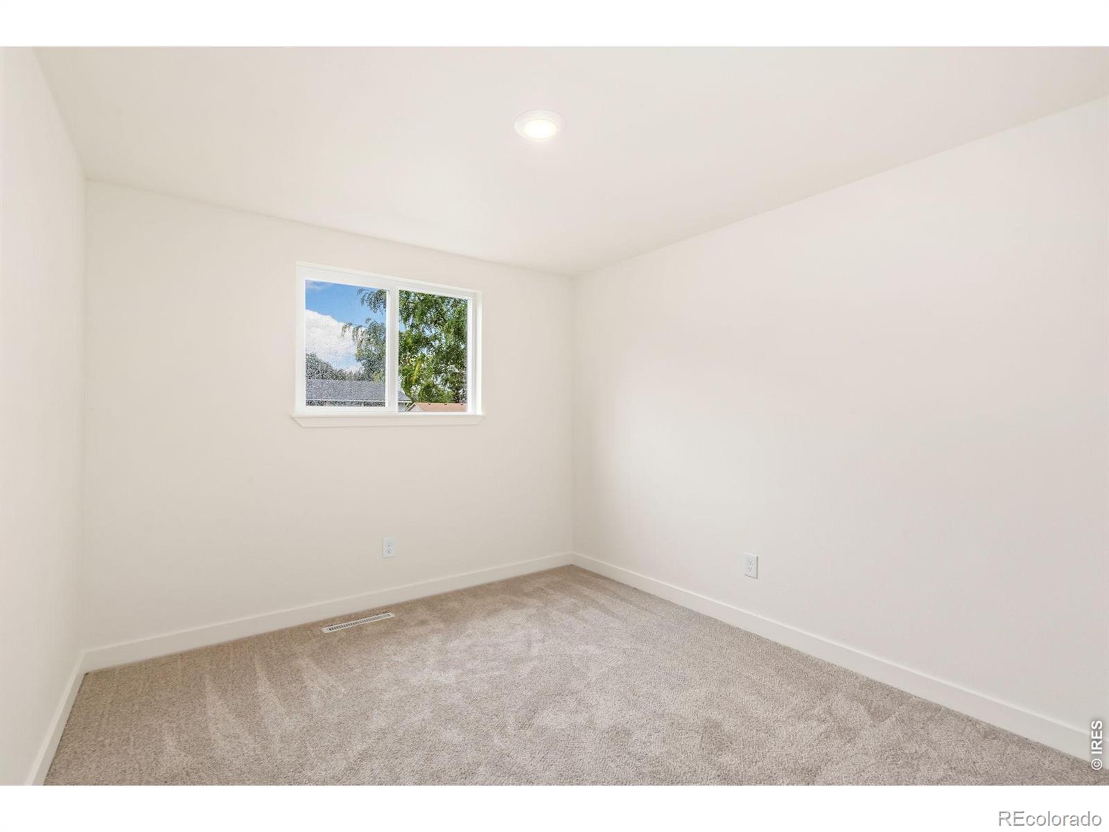 743 Scotch Elm Drive Loveland CO 80538