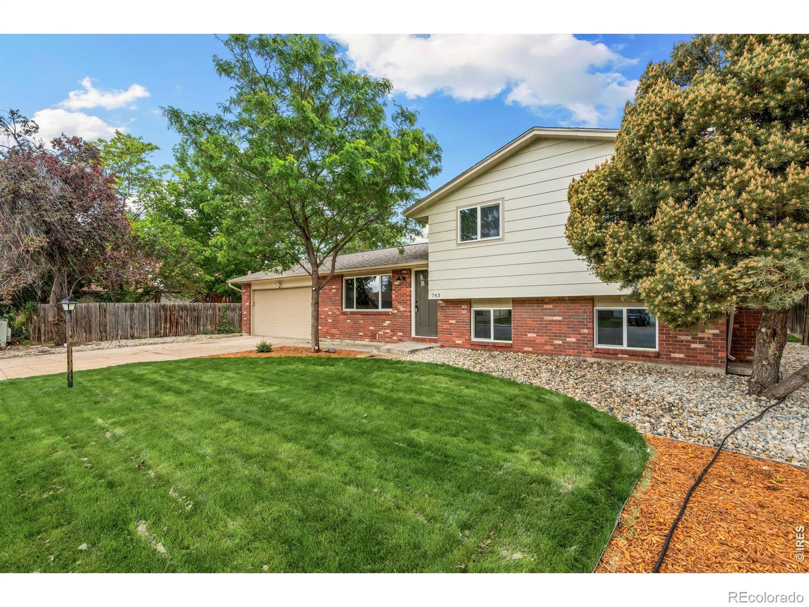 743 Scotch Elm Drive Loveland CO 80538