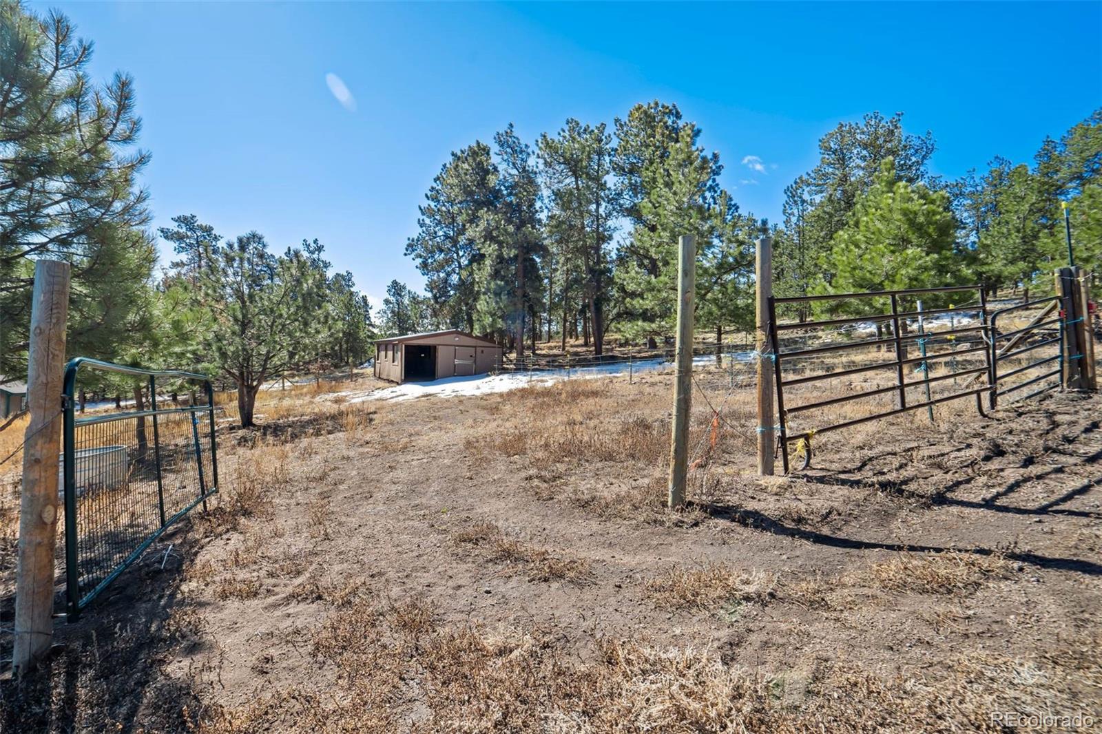 201 Terry Lane Guffey CO 80820