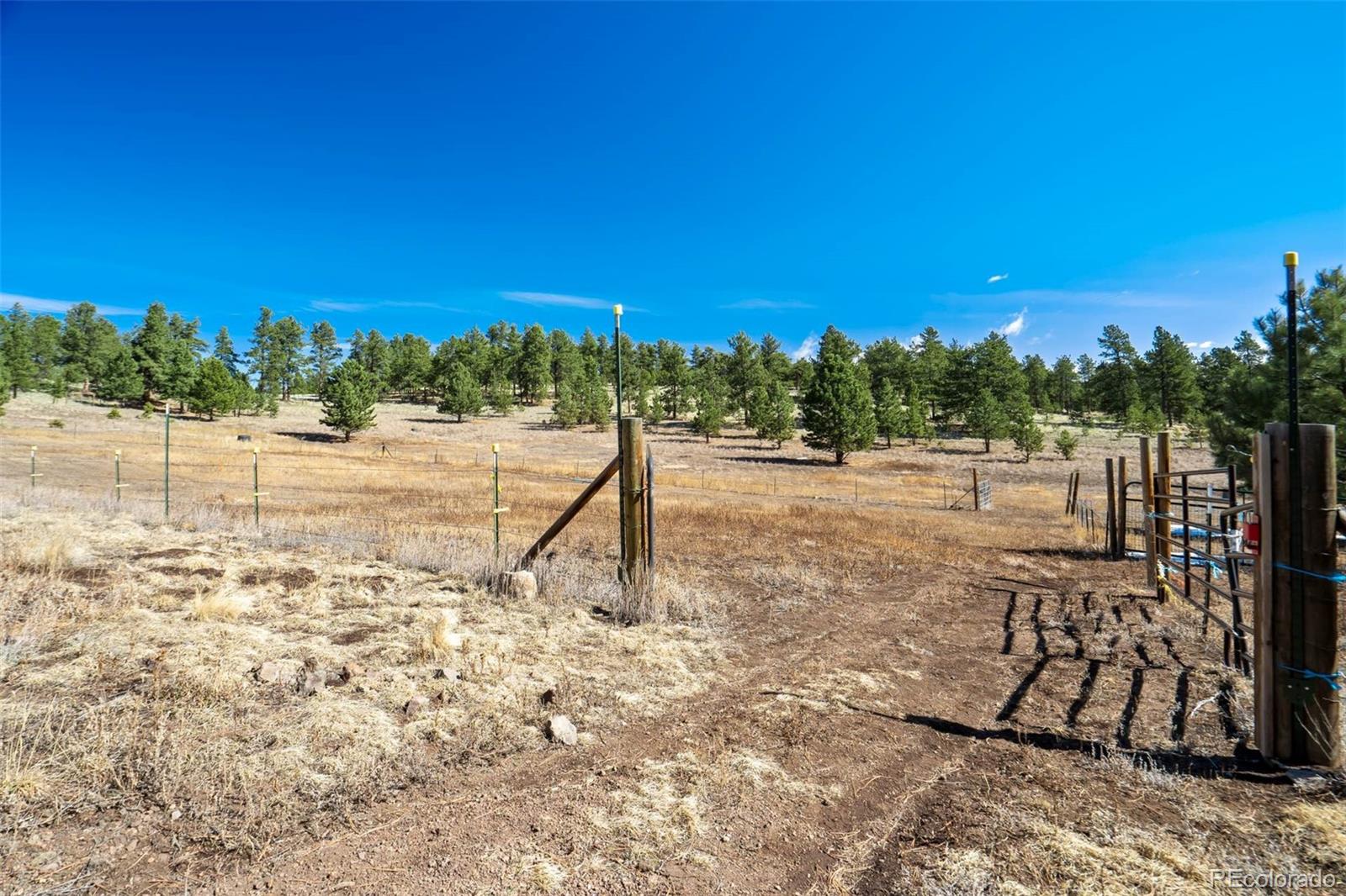 201 Terry Lane Guffey CO 80820
