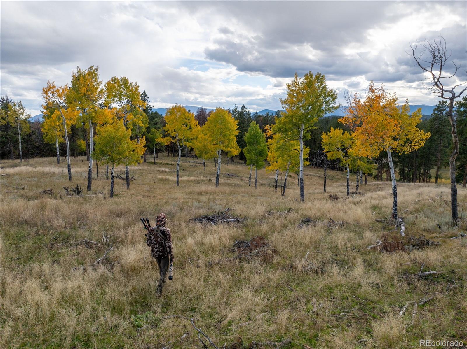 12464 S Us Highway 285 Conifer CO 80433
