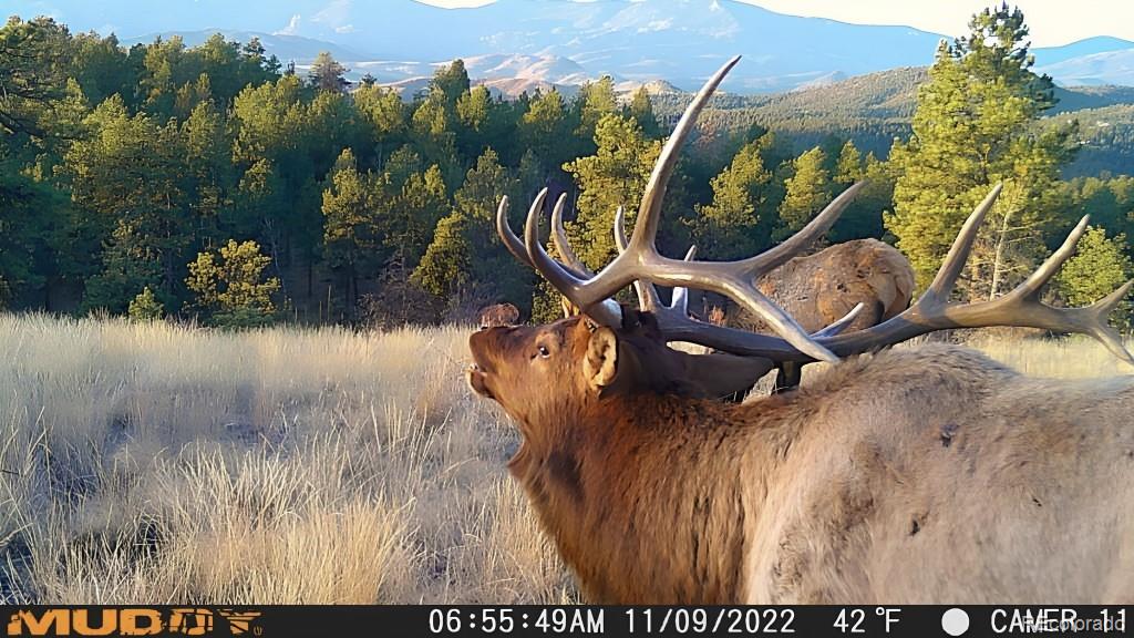 12464 S Us Highway 285 Conifer CO 80433