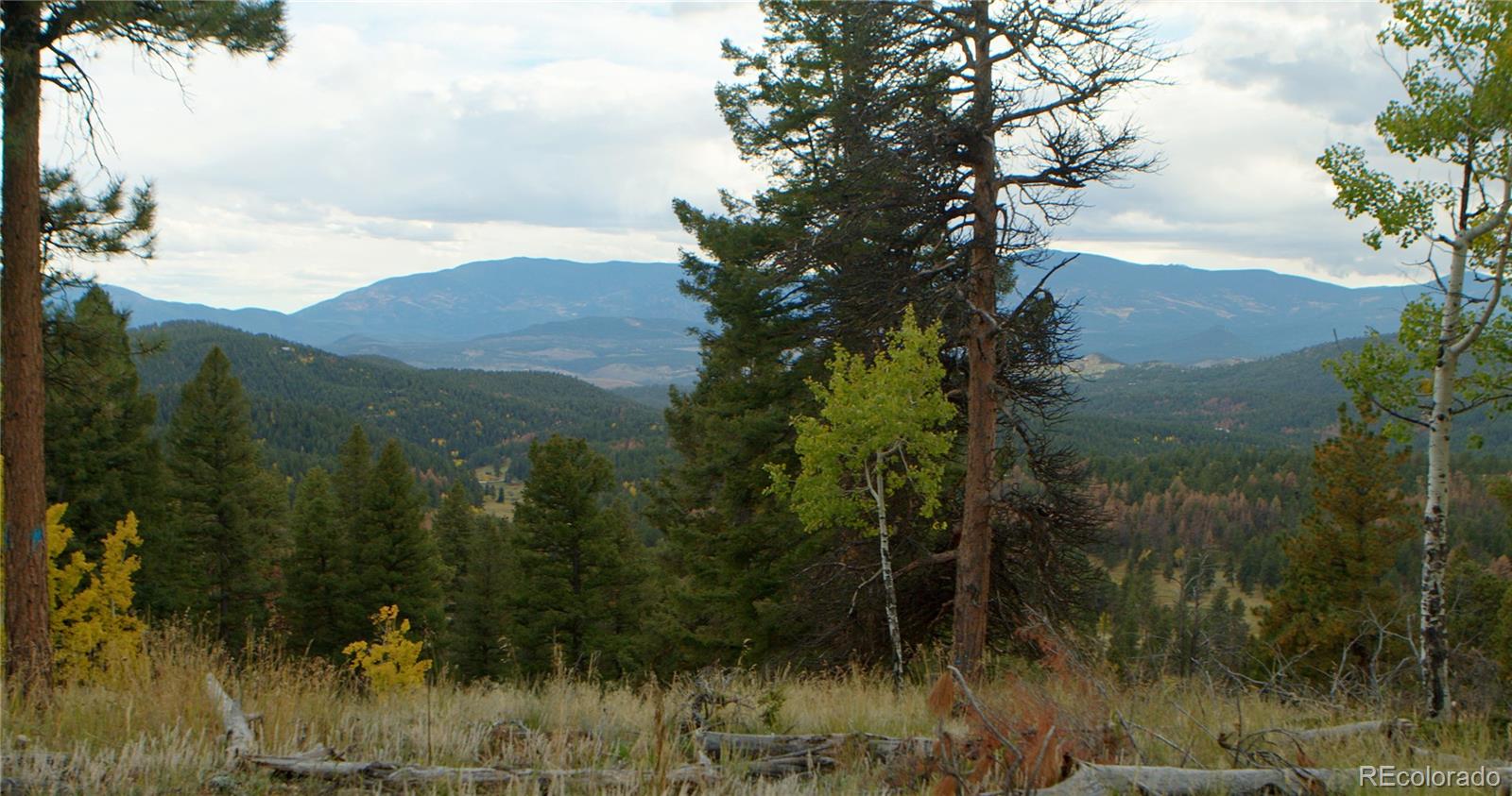 12464 S Us Highway 285 Conifer CO 80433