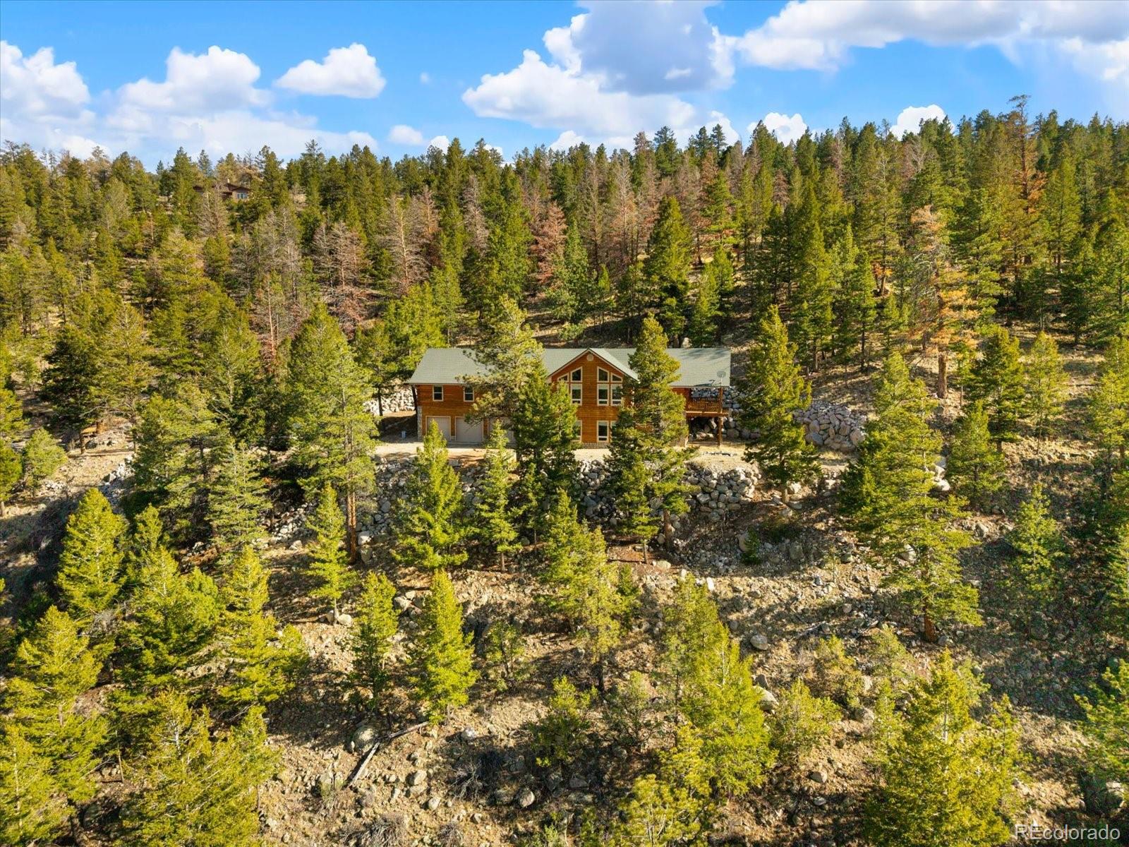 16382 Falcon Drive Nathrop CO 81236