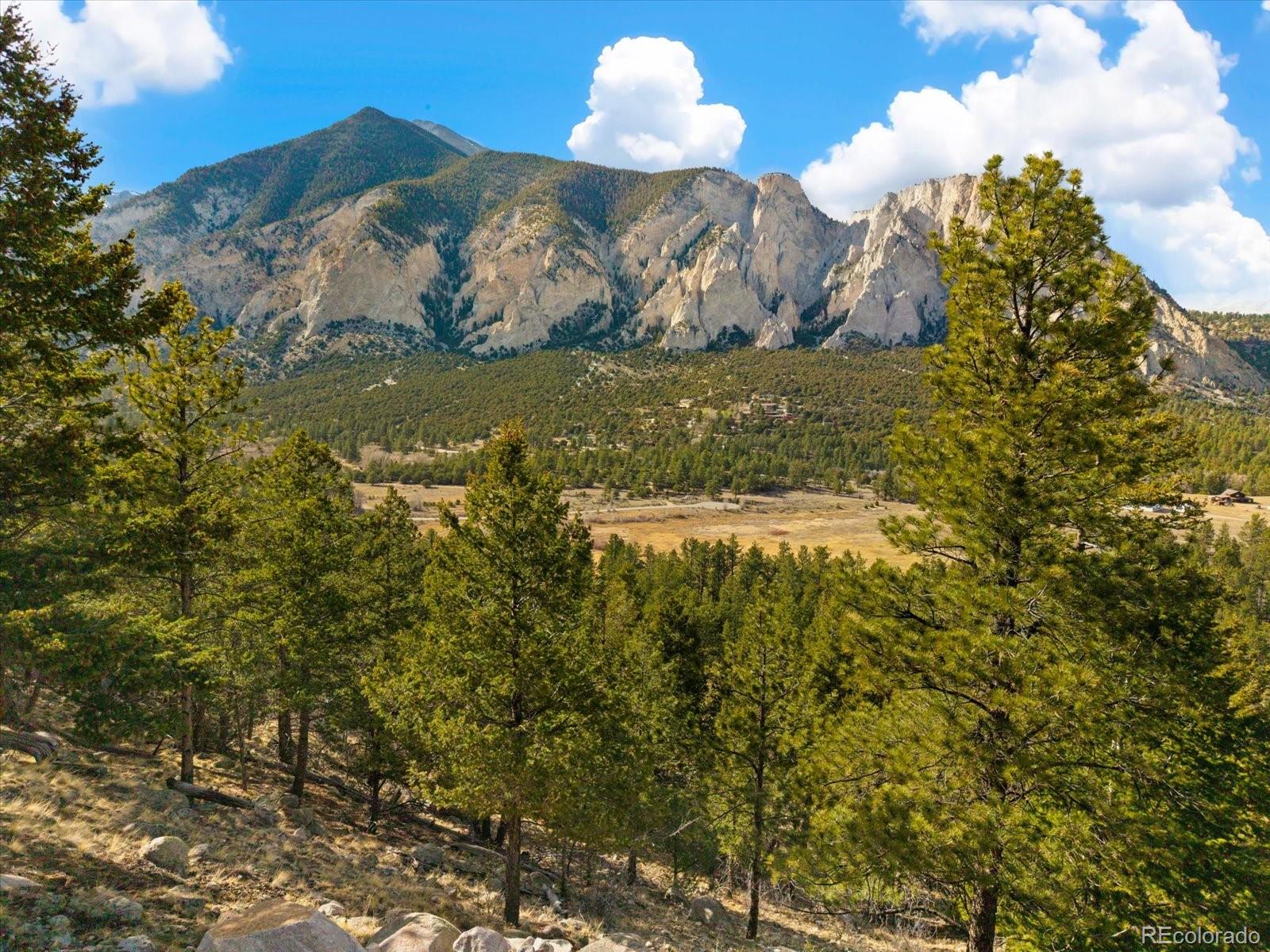 16382 Falcon Drive Nathrop CO 81236