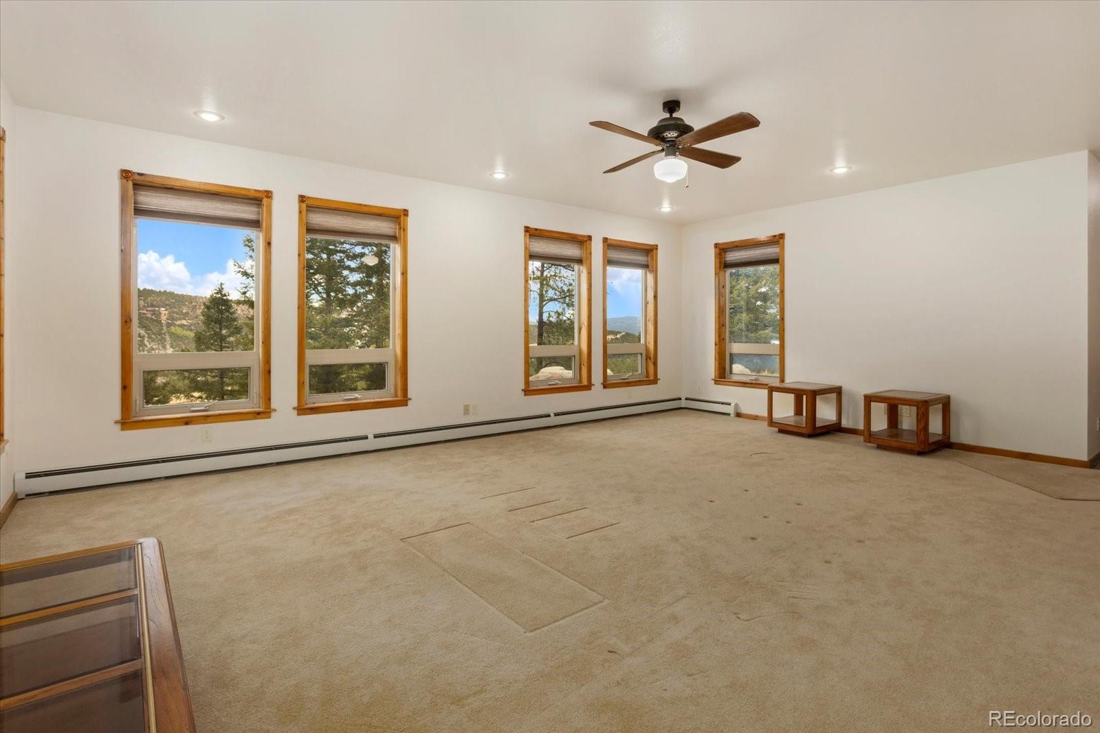 16382 Falcon Drive Nathrop CO 81236