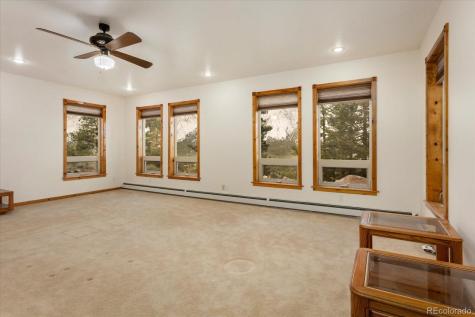 16382 Falcon Drive Nathrop CO 81236