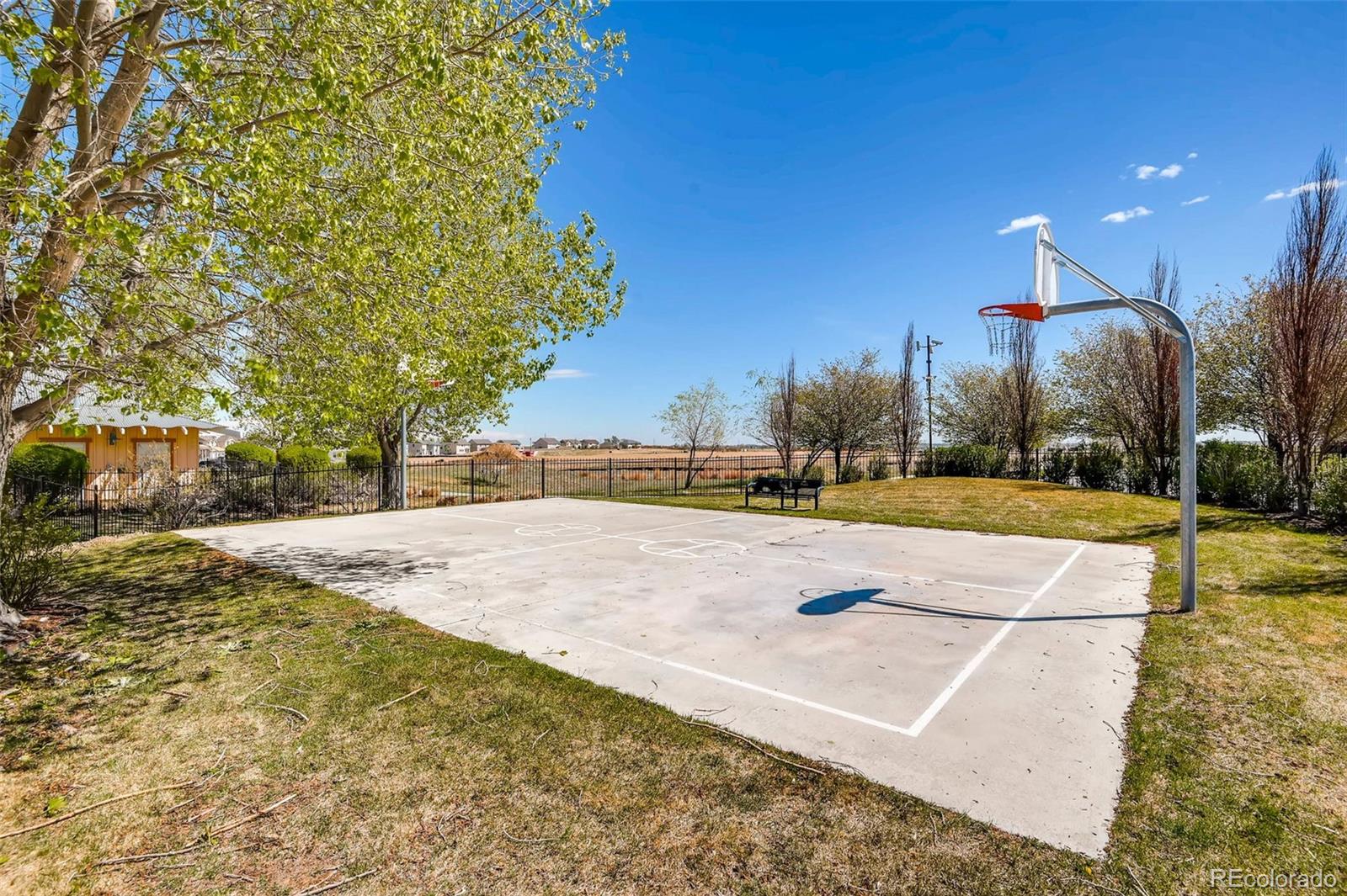 5177 Delphinium Circle Brighton CO 80601