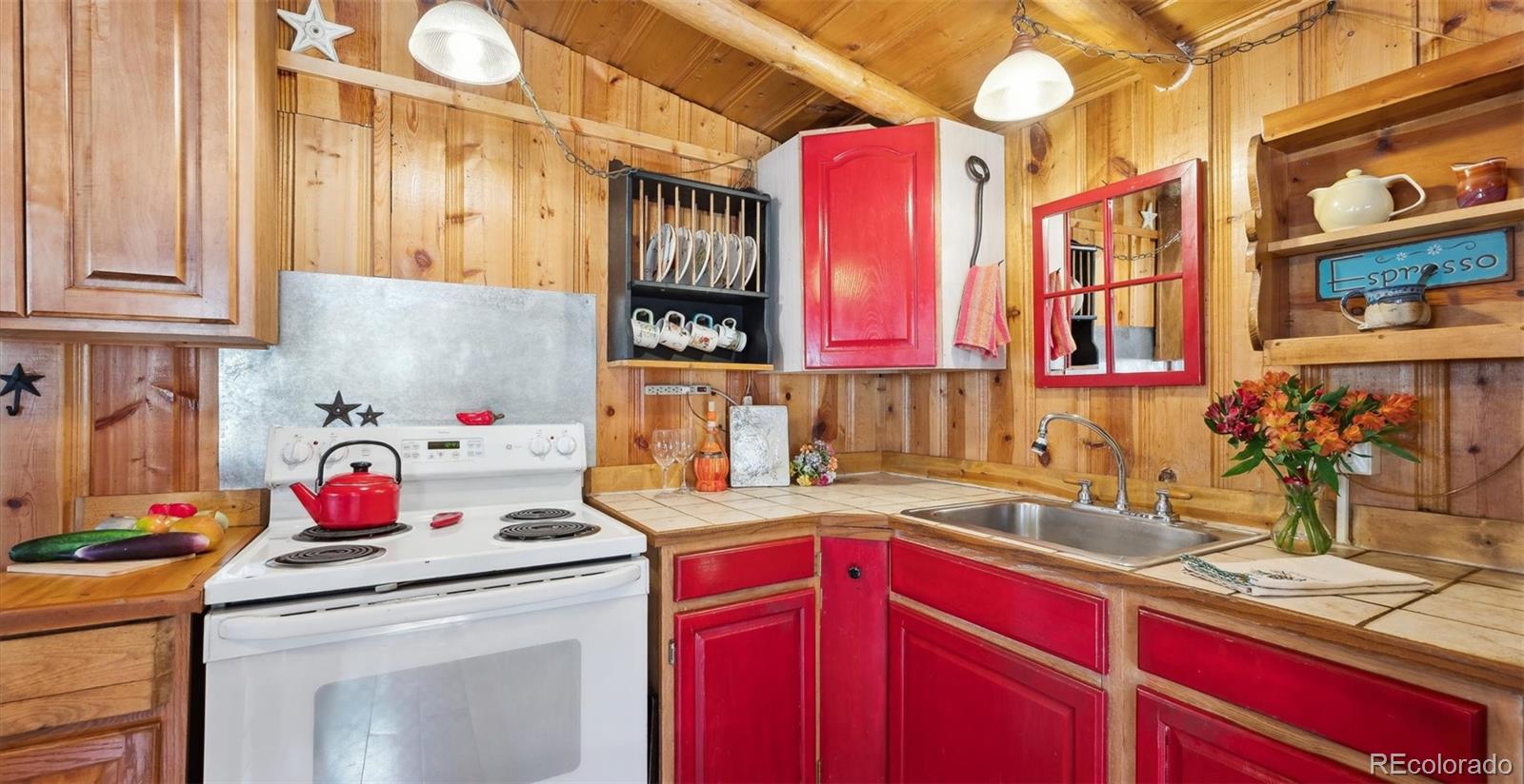 33885 La Plata Lane Pine CO 80470