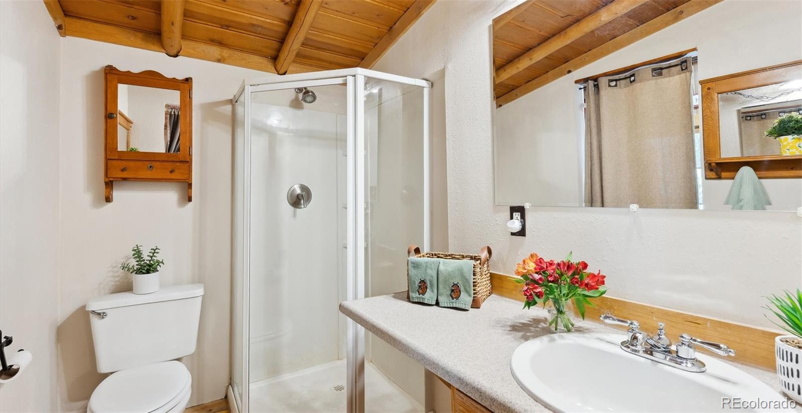 33885 La Plata Lane Pine CO 80470