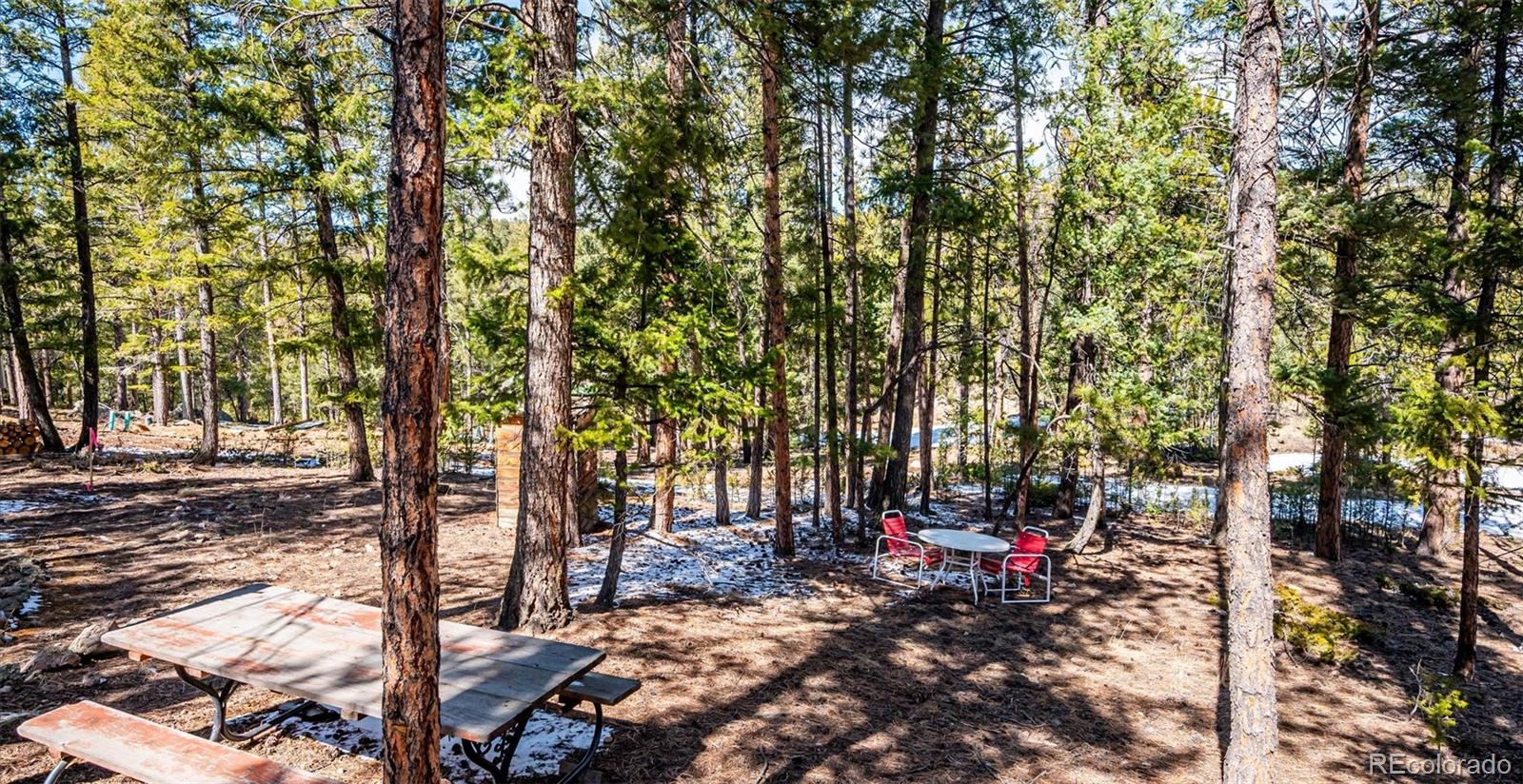 33885 La Plata Lane Pine CO 80470