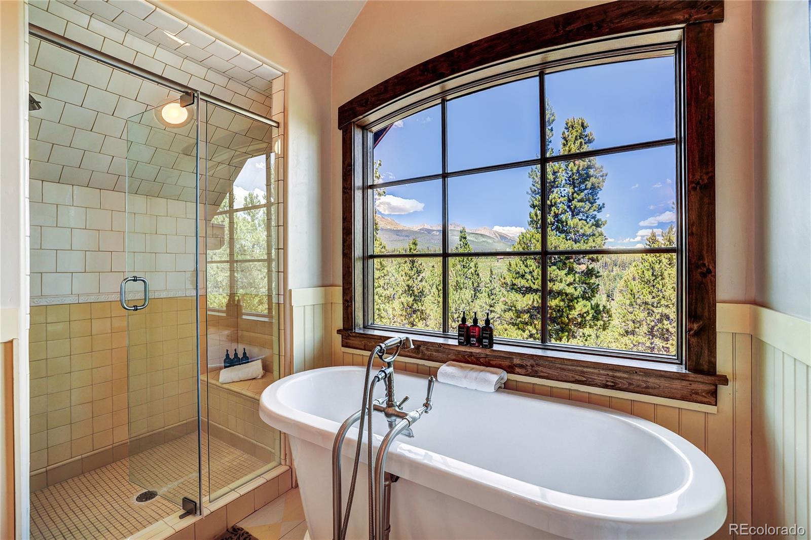 456 Peerless Drive Breckenridge CO 80424