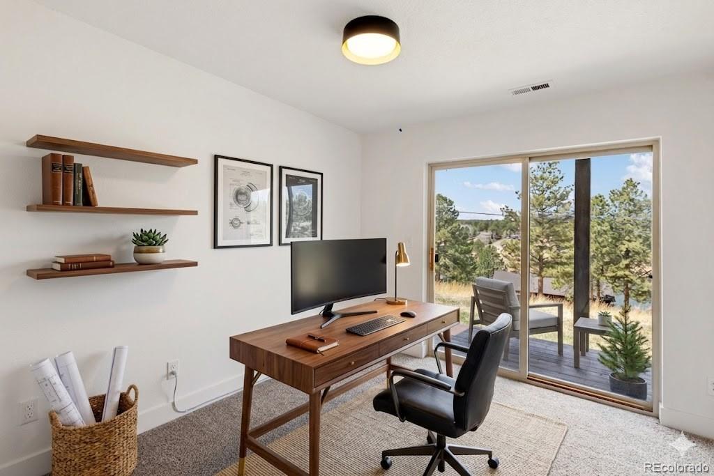 300 Piney Point Woodland Park CO 80863