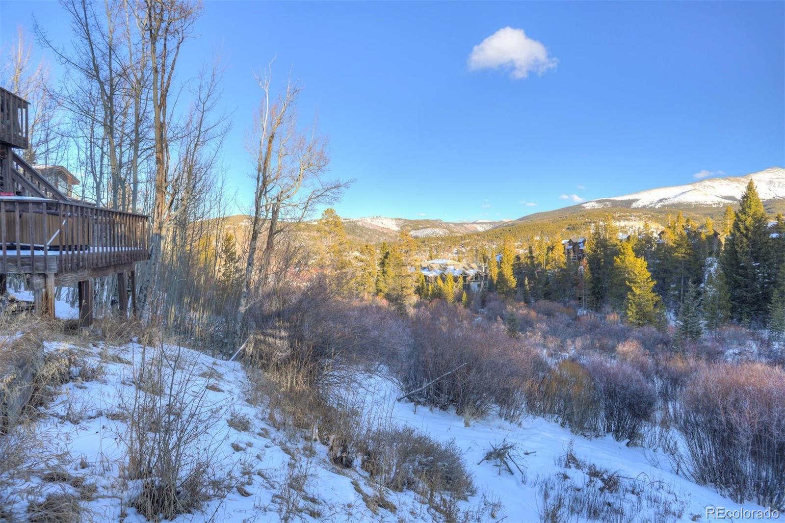 965 Four Oclock Road Breckenridge CO 80424