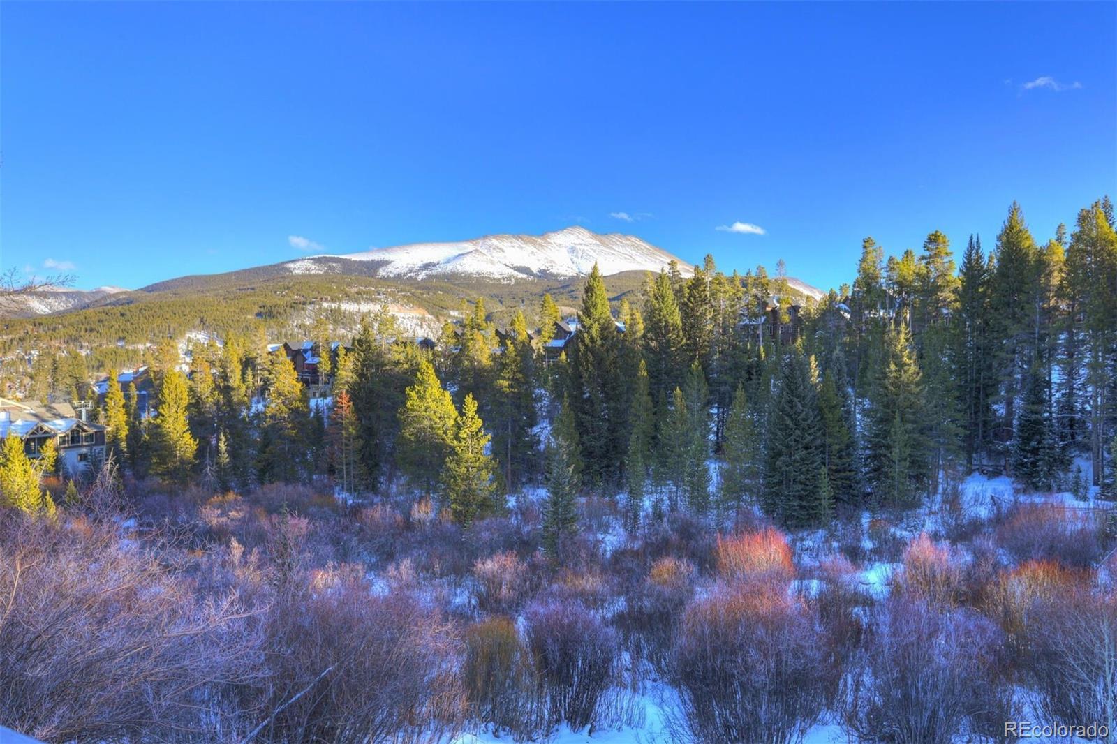 965 Four Oclock Road Breckenridge CO 80424
