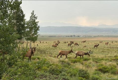 1793 Michigan Hill Road Jefferson CO 80456