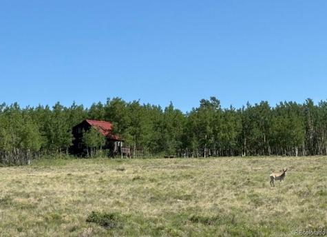 1793 Michigan Hill Road Jefferson CO 80456