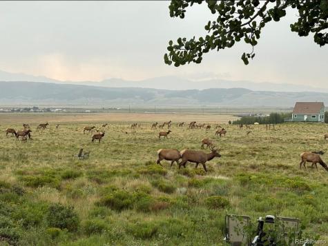 1793 Michigan Hill Road Jefferson CO 80456