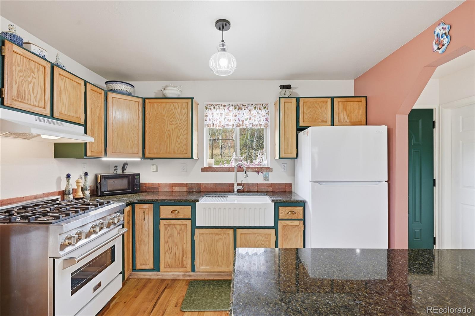 398 Aspen Drive Bailey CO 80421
