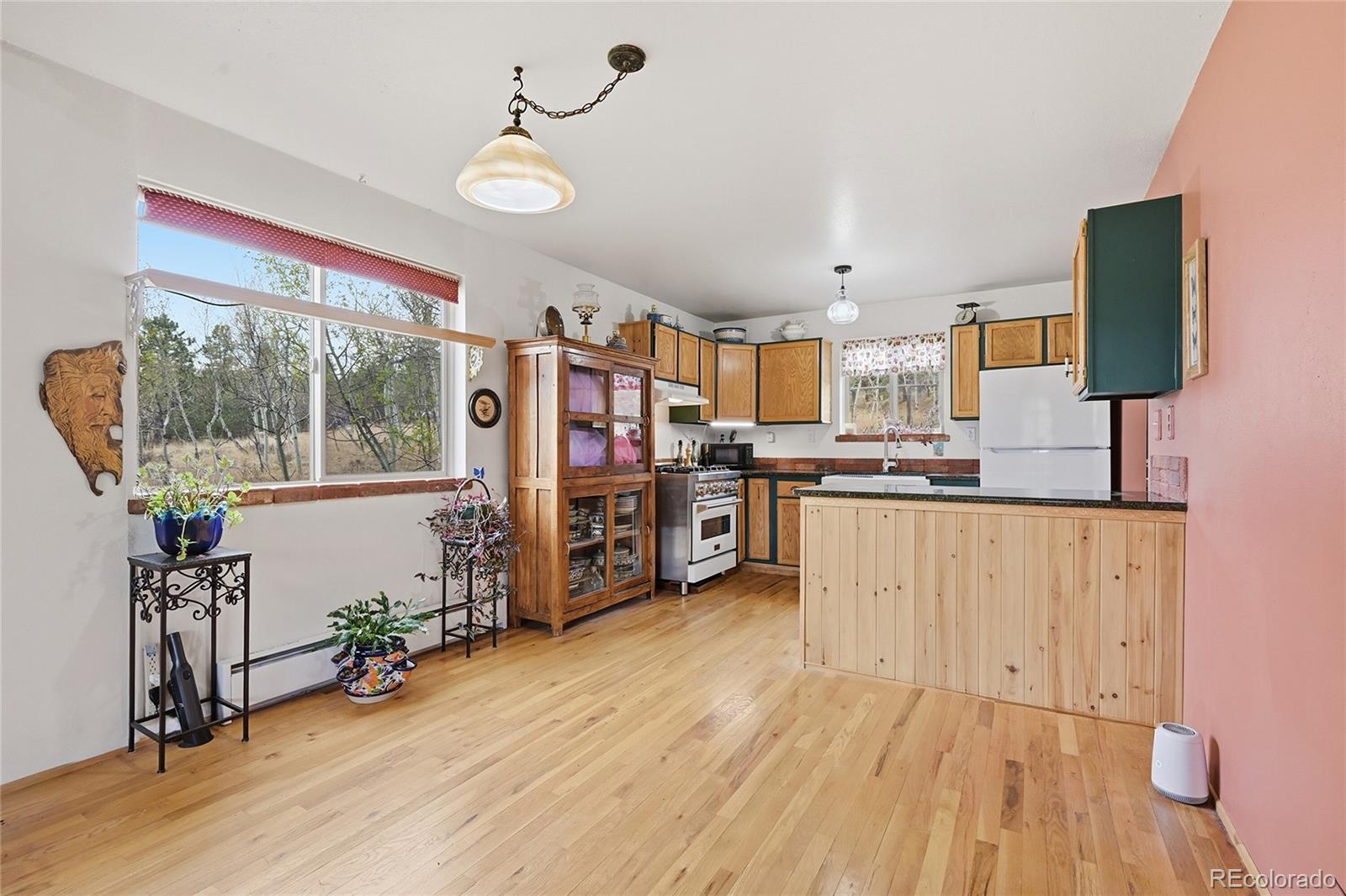 398 Aspen Drive Bailey CO 80421