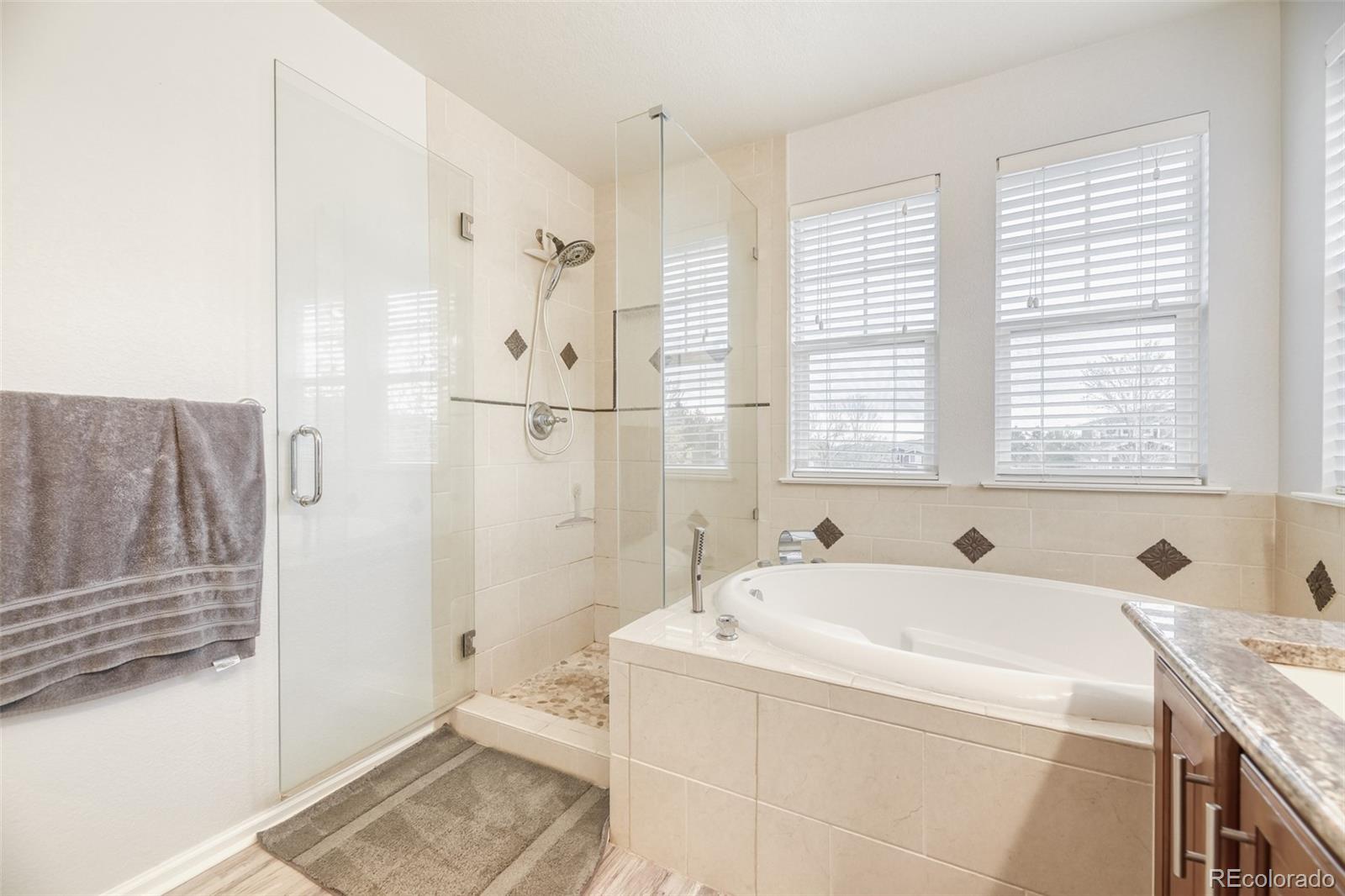 10673 Cedarcrest Circle Highlands Ranch CO 80130