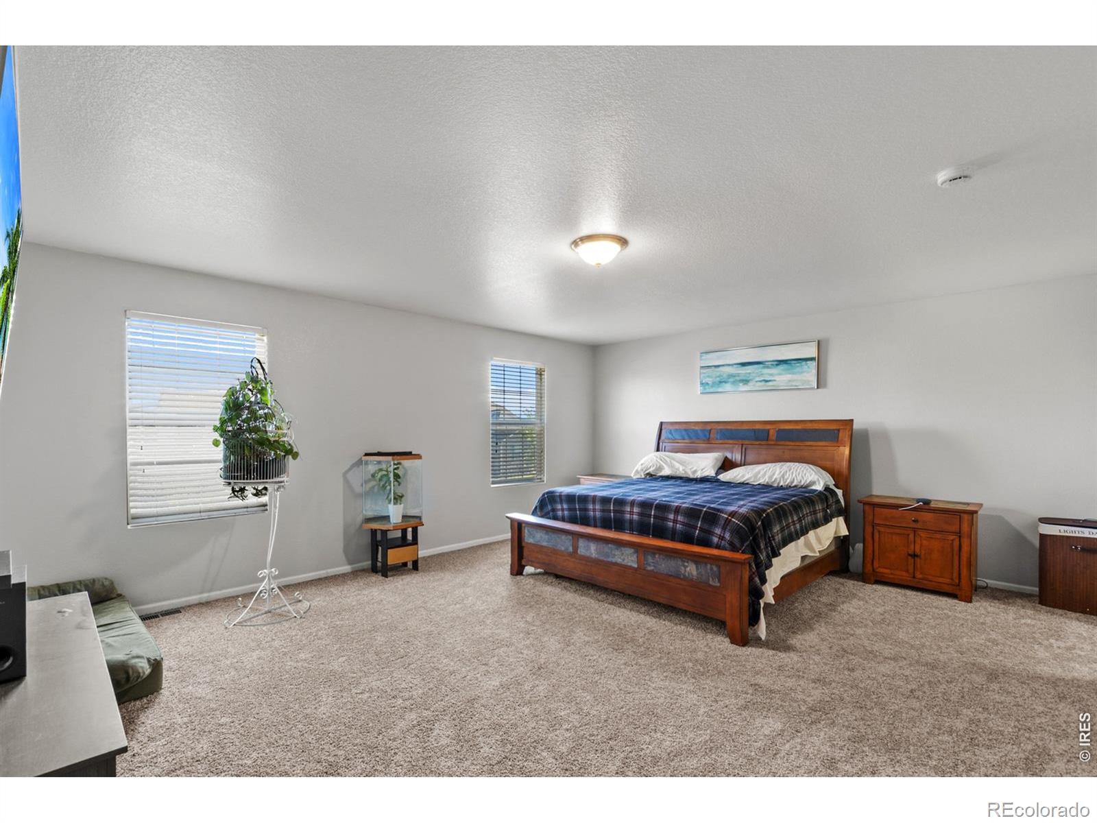 3690 Cornflower Street Wellington CO 80549
