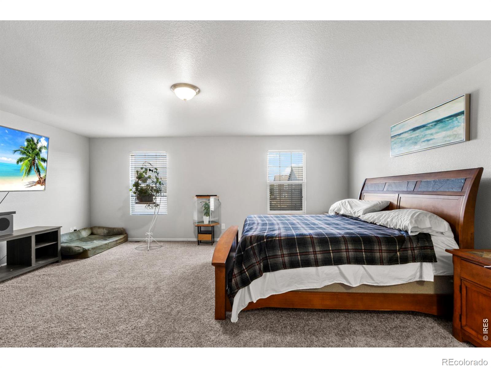3690 Cornflower Street Wellington CO 80549