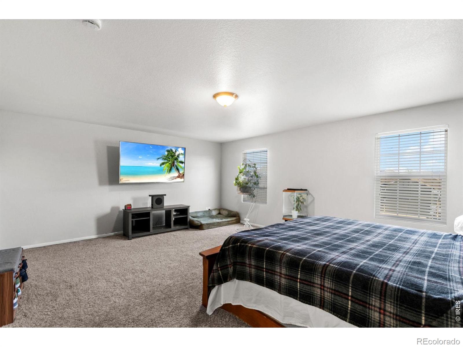 3690 Cornflower Street Wellington CO 80549