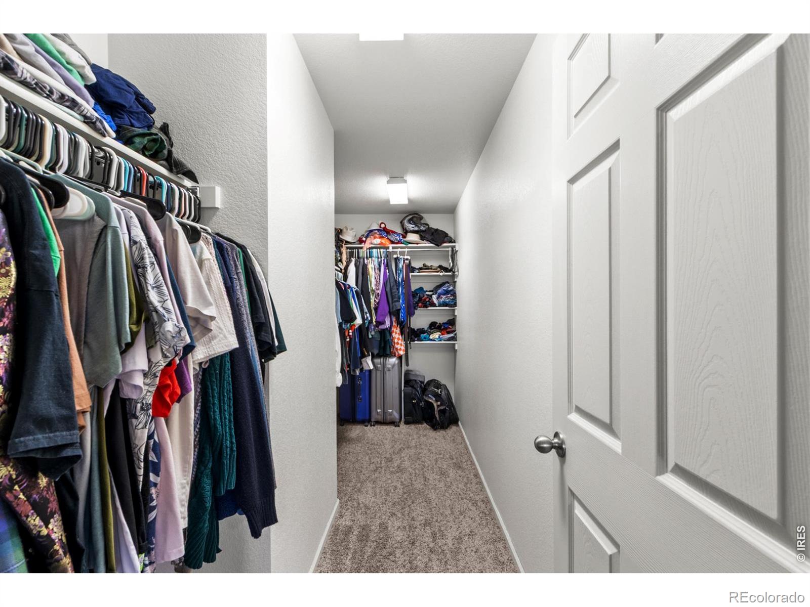 3690 Cornflower Street Wellington CO 80549