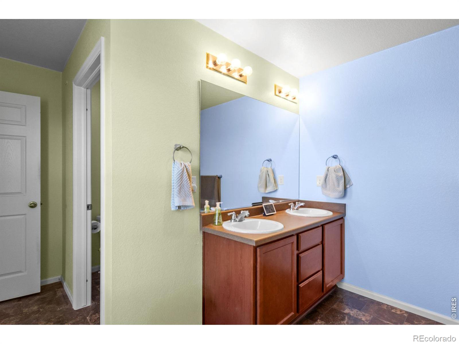3690 Cornflower Street Wellington CO 80549