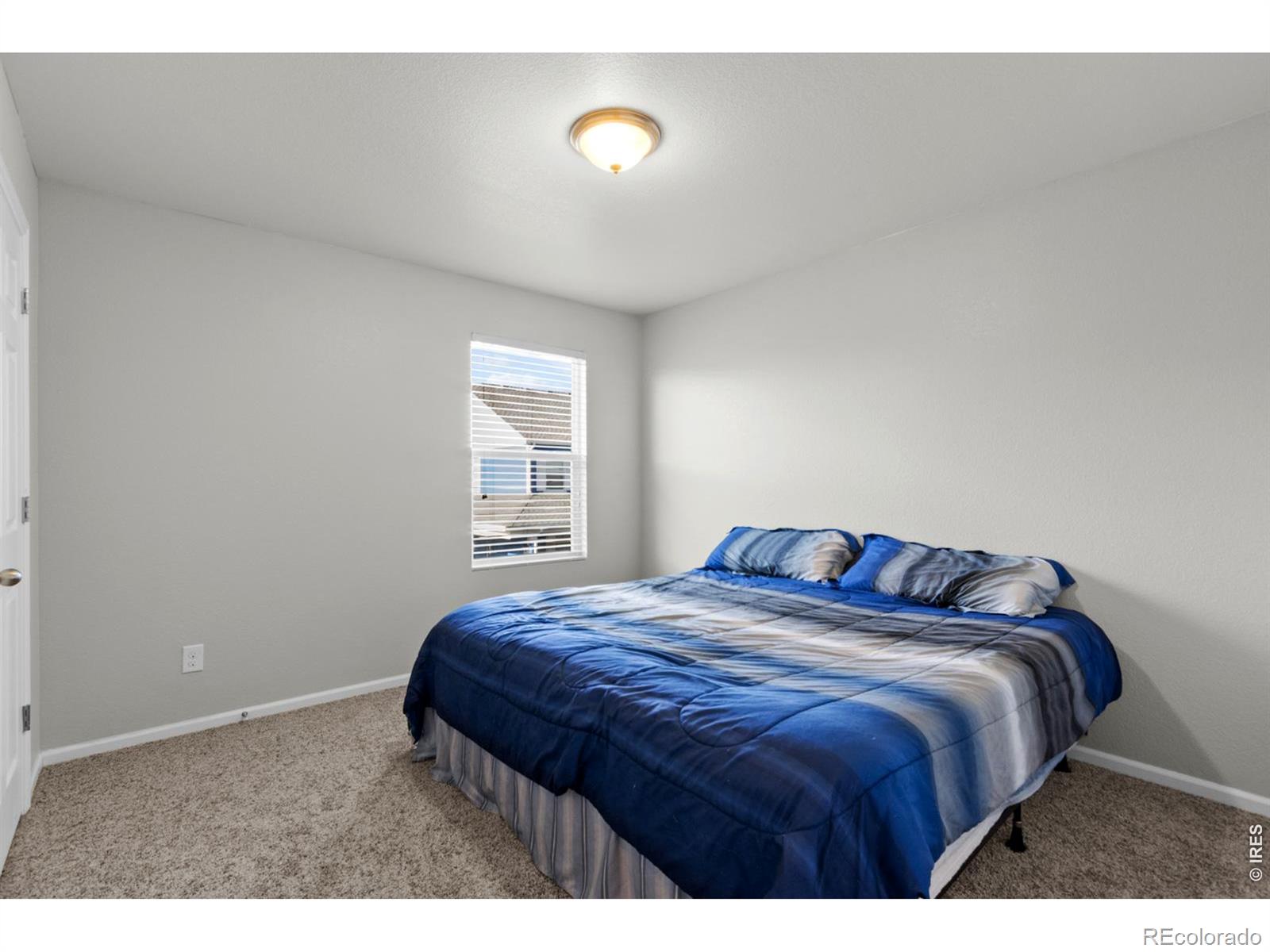 3690 Cornflower Street Wellington CO 80549