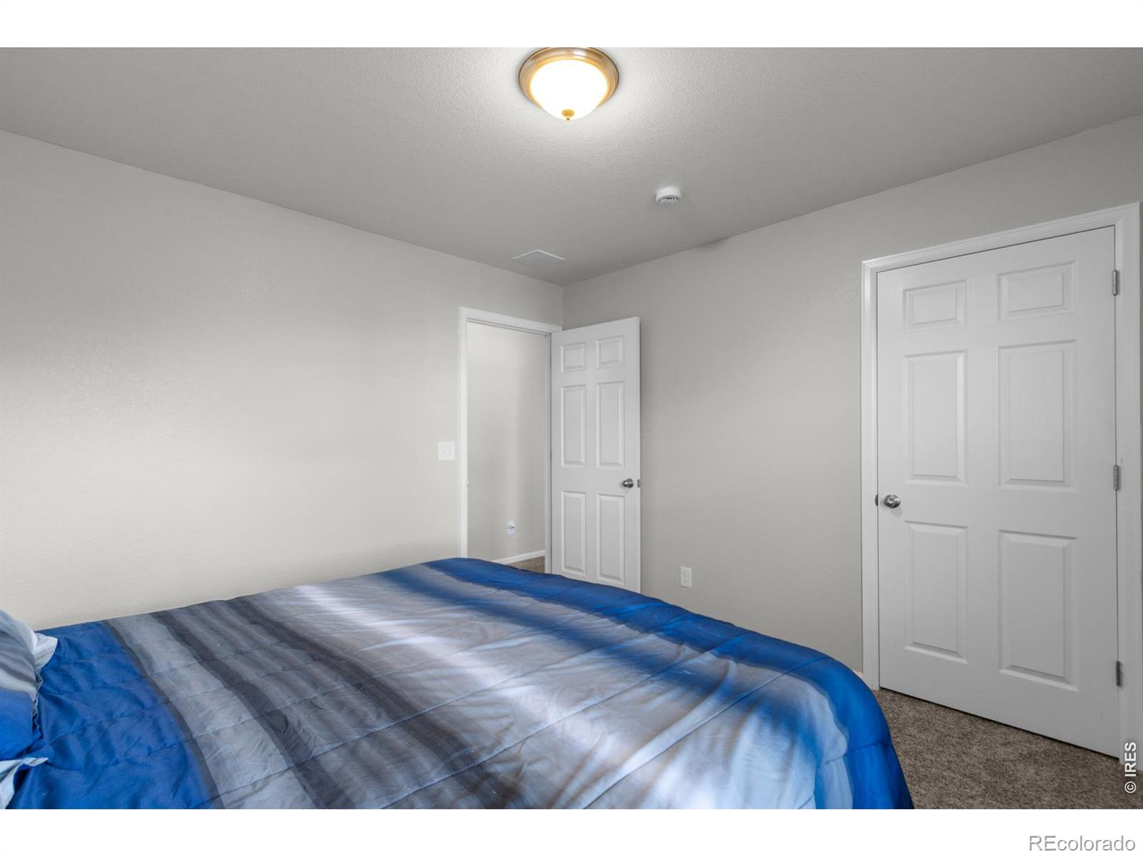 3690 Cornflower Street Wellington CO 80549