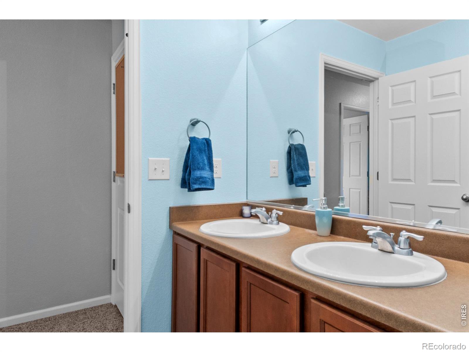 3690 Cornflower Street Wellington CO 80549